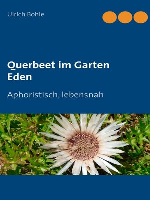 cover image of Querbeet im Garten Eden